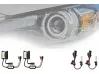Xenon H10 10000K 12V / 24V / 55W PREMIUM POWER