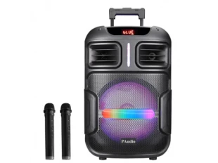 Ελαφρύ ηχείο Karaoke WVNGR BT-1200 12 ιντσών