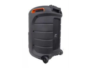 Ελαφρύ ηχείο Karaoke WVNGR BT-1200 12 ιντσών