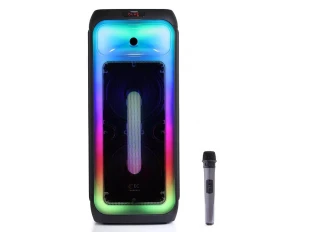 Ελαφρύ ηχείο Karaoke WVNGR DR-1028 2x10,5 ίντσες