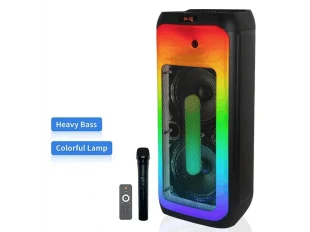 Ελαφρύ ηχείο Karaoke WVNGR DR-1028 2x10,5 ίντσες