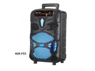 Ηχείο Karaoke με Bluetooth NDR-P55 8'' και μικρόφωνο