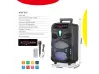 Ηχείο Karaoke με Bluetooth NDR-P55 8'' και μικρόφωνο