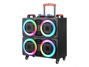 Ηχείο με φωτισμό Karaoke WVNGR-8888 με 4x8 ίντσες