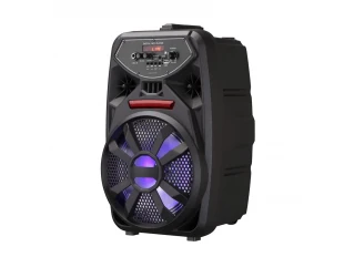Φορητό ηχείο καραόκε Bluetooth PK-09 με ραδιόφωνο FM, MP3 και ασύρματο μικρόφωνο