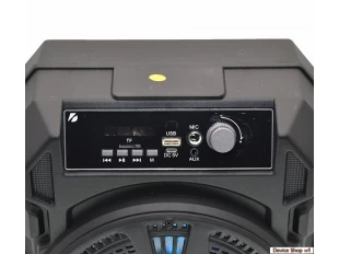 Ηχείο Karaoke με μικρόφωνο, Bluetooth, κάρτα TF, ραδιόφωνο FM - KTS-1149A