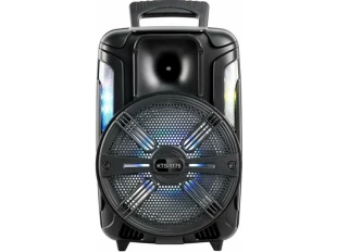 Ασύρματη στήλη καραόκε 8 ιντσών με μικρόφωνο και τηλεχειριστήριο KTS-1175