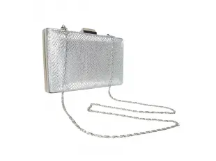 Ασημένια επίσημη τσάντα - Anisa